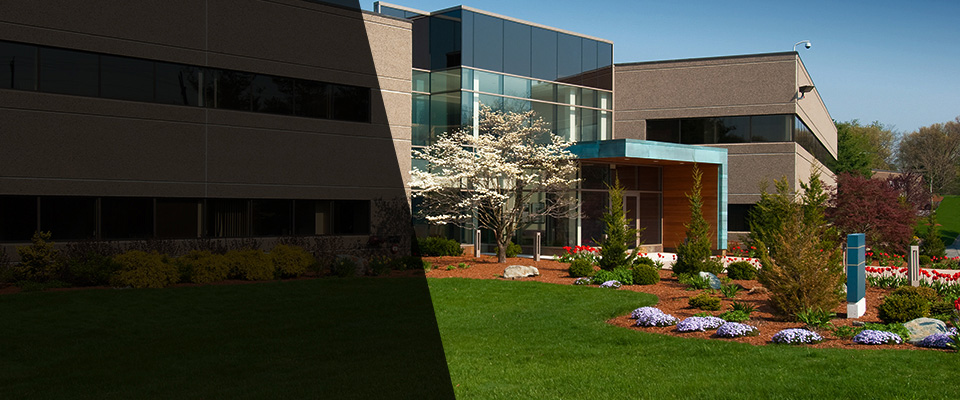 Maple Lake Landscapers