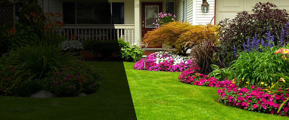 Maple Lake Landscapers