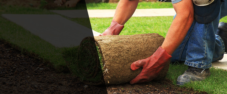 Maple Lake Landscapers